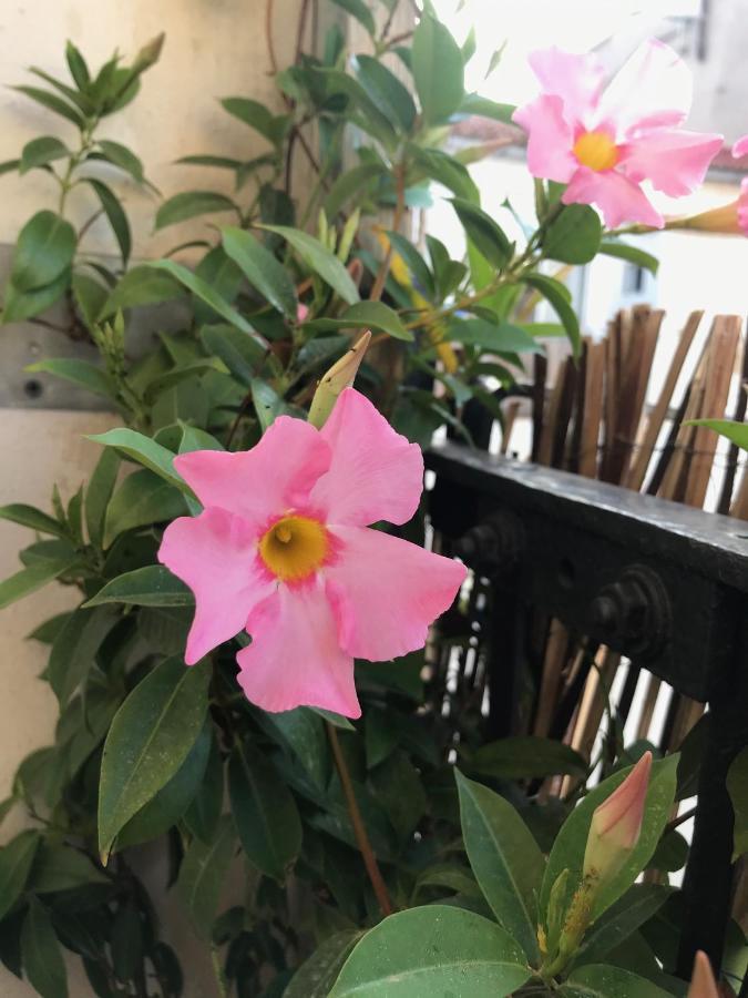 Appartement Elsa Valensiya Dış mekan fotoğraf